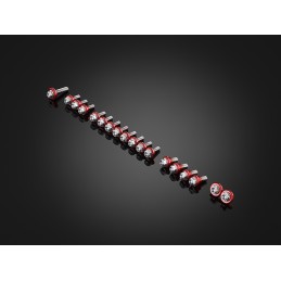 Kit Vis Stainless pour Carénages Bikers Honda CBR650R