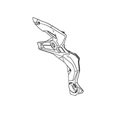 Couvre Pivot Gauche Kawasaki Z900 2020 2021 2022 2023