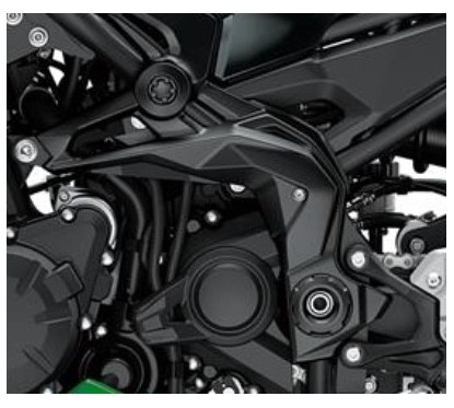 Couvre Pivot Gauche Kawasaki Z900 2020 2021