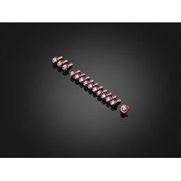 Kit Vis Carénages Bikers Honda ADV 150