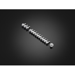 Stainless Bolts Set for Fairing Bikers Honda ADV 150