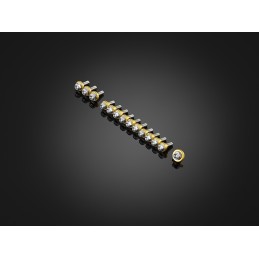 Stainless Bolts Set for Fairing Bikers Honda ADV 150