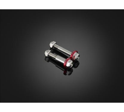 Stainless Bolt Brake & Clutch Lever Bikers Kawasaki