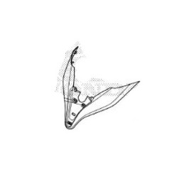 Front Garnish Screen Honda Forza 350 2021