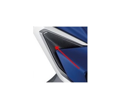 Intérieur Flanc Droit Honda Forza 350 2021