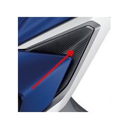 Intérieur Flanc Gauche Honda Forza 350 2021