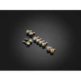 Stainless Bolts Set for Fairing Bikers Kawasaki ZX-25R