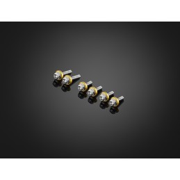 Stainless Bolts Set for Windshield Bikers Kawasaki ZX-25R