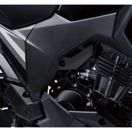 Cover Pivot Right Kawasaki Versys X-300