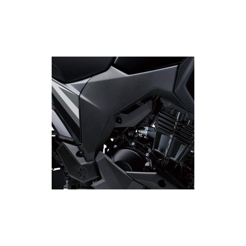 Cover Pivot Right Kawasaki Versys-X 300