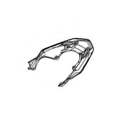 Rail Rear Grab Support Honda PCX 125/160 v5 2021