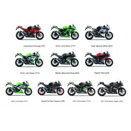 Carénage Flanc Central Droit Kawasaki Ninja 300