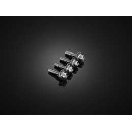 Kit Vis Bulle Saute Vent Bikers Honda X-ADV 750 2021