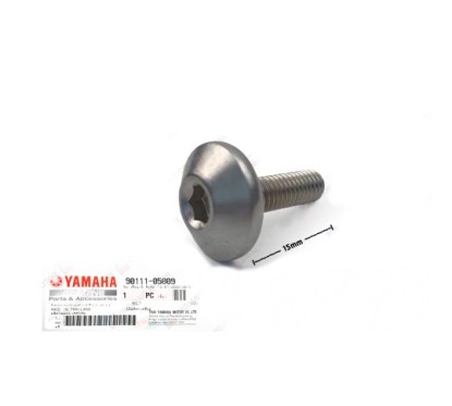 Boulon Hex. Socket Button Yamaha 90111-05809