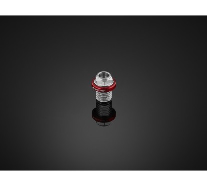 Stainless Bolt Mirror Hole Bikers