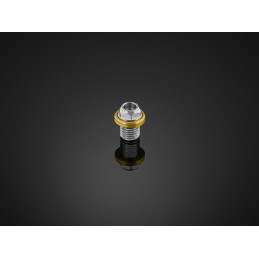 Stainless Bolt Mirror Hole Bikers