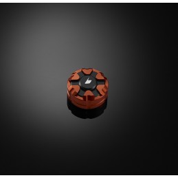 Rear Brake Fluid Tank Cap Bikers Kawasaki