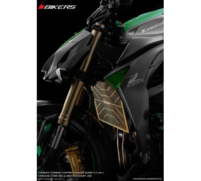 Grille Protection Radiateur Titane 1.2mm Stainless Bikers Kawasaki NINJA 1000