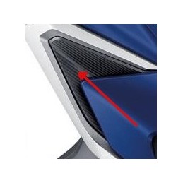 Intérieur Flanc Droit Honda Forza 125 2021