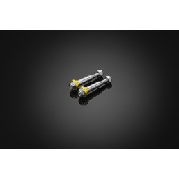 Vis Stainless Leviers Bikers Honda