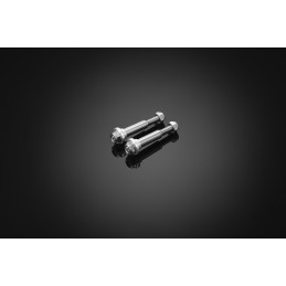 Stainless Bolt for Levers Bikers Honda