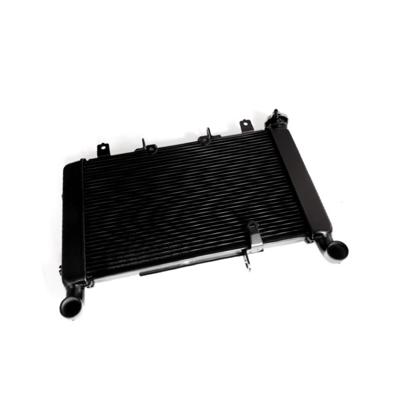 Radiator Honda CB650R