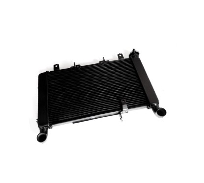 Radiator Honda CB650R