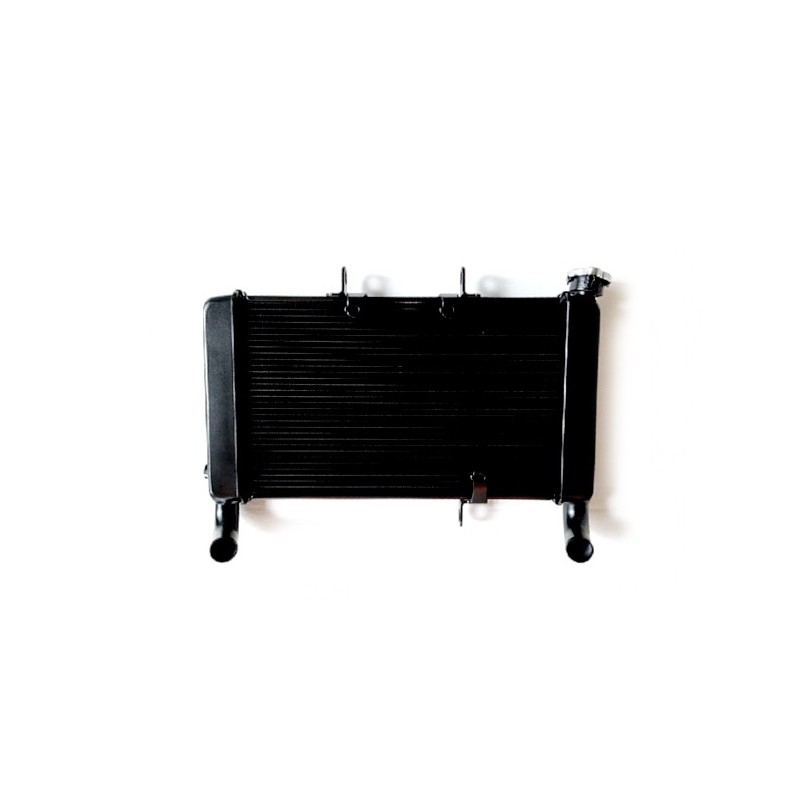 Radiator Honda CBR650R Radiator Honda CBR650R