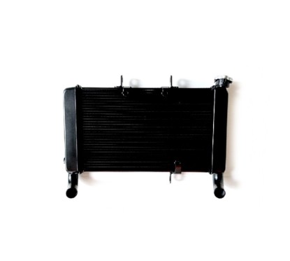 Radiator Honda CBR650R