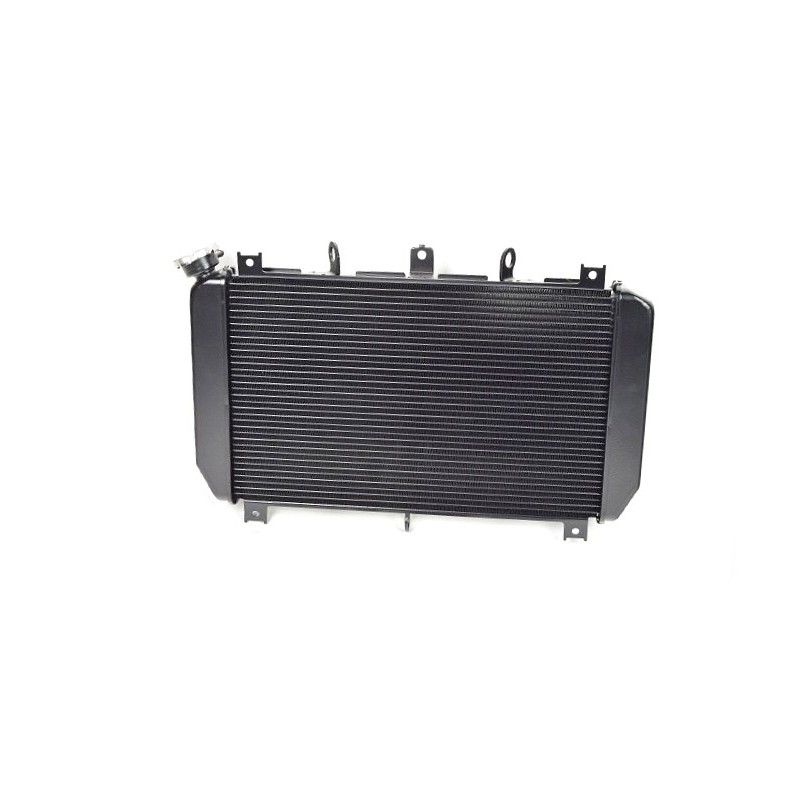 Radiator Kawasaki Z900 2017 2018 2019 Radiator Kawasaki Z900 2017 2018 2019
