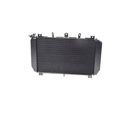 Radiator Kawasaki Z900 2017 2018 2019