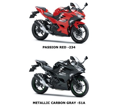 Fuel Tank Kawasaki NINJA 250