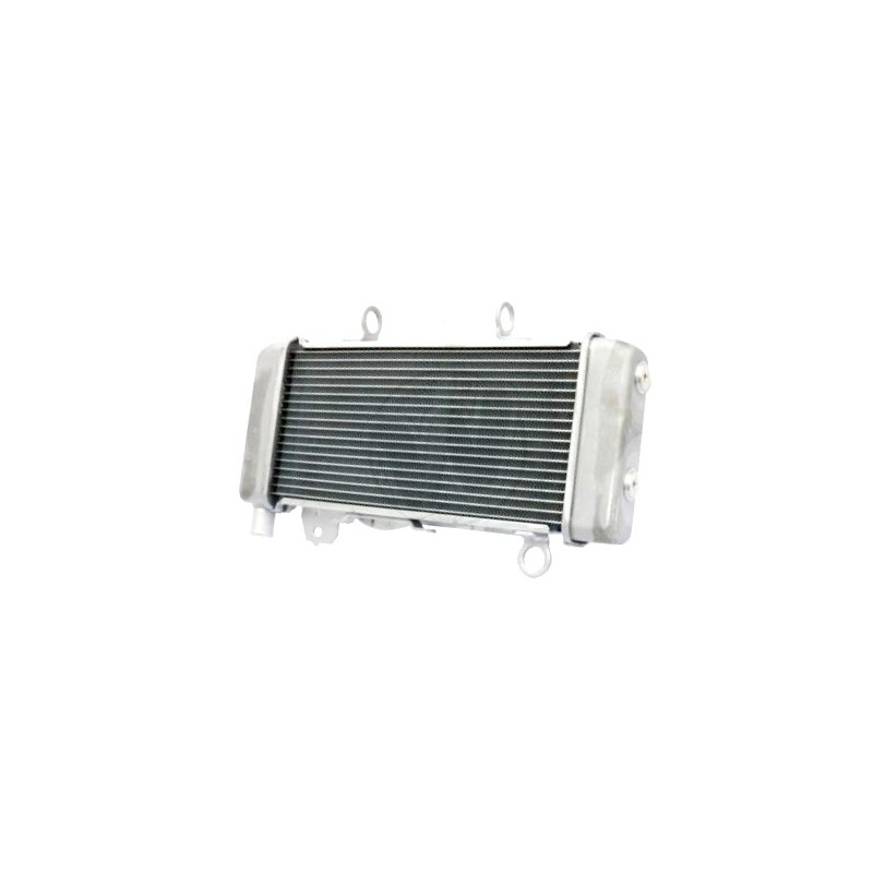 Radiateur Honda CB300R 2018/2022