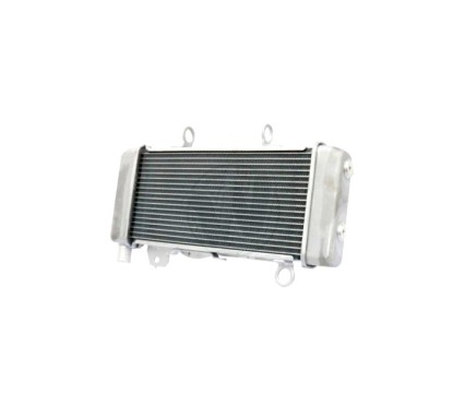 Radiateur Honda CB300R 19010-K0A-E11