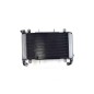 Radiator Complete Honda CB650F