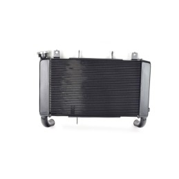Radiateur Complet Honda CB650F 2017 2018 19010-MJE-TF1