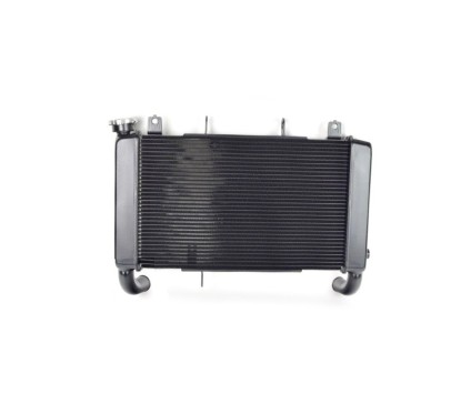 Radiateur Complet Honda CB650F 2017 2018 19010-MJE-TF1