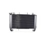 Radiator Complete Honda CB650F 2017 2018