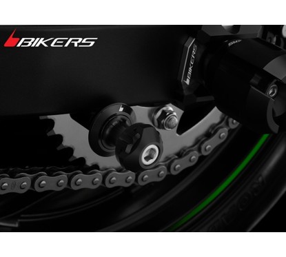 Vis Bras Oscillant Bikers Kawasaki Ninja 300