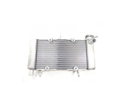 Radiator Honda CBR500R 2019 2020 2021