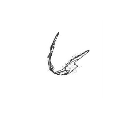 Carénage Inférieur Phare Avant Honda CB500F 2022 2023