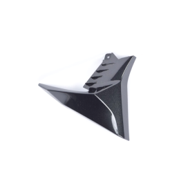 Carénage Écope Droit Kawasaki Z900 2020 2021 2022 2023 49134-0017
