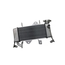 Radiateur Yamaha MT-15 BK6-E2460-01