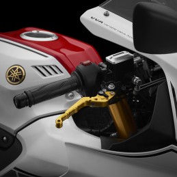 Kit Leviers Réglable et Pliable Bikers Yamaha YZF R15M 2022 2023