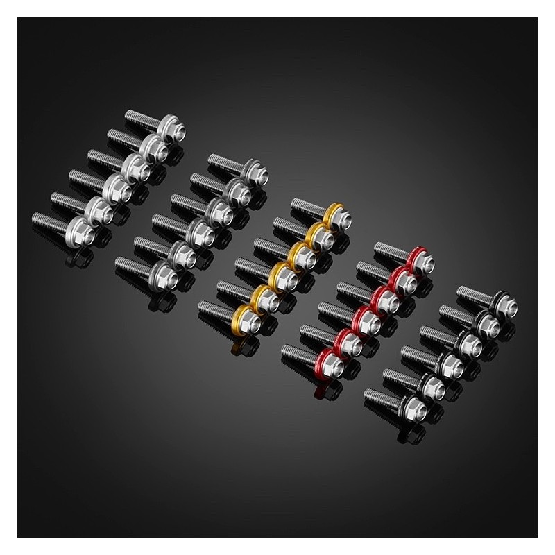 Stainless 6 Bolts Set for Windshield Bikers Stainless 6 Bolts Set for Windshield Bikers