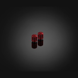 Tire Valve Caps Motorcycles Scooters Bikers