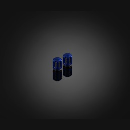 Tire Valve Caps Motorcycles Scooters Bikers