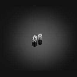 Tire Valve Caps Bikers