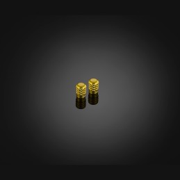 Tire Valve Caps Bikers