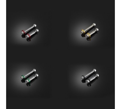 Stainless Bolts Levers Bikers Kawasaki C122